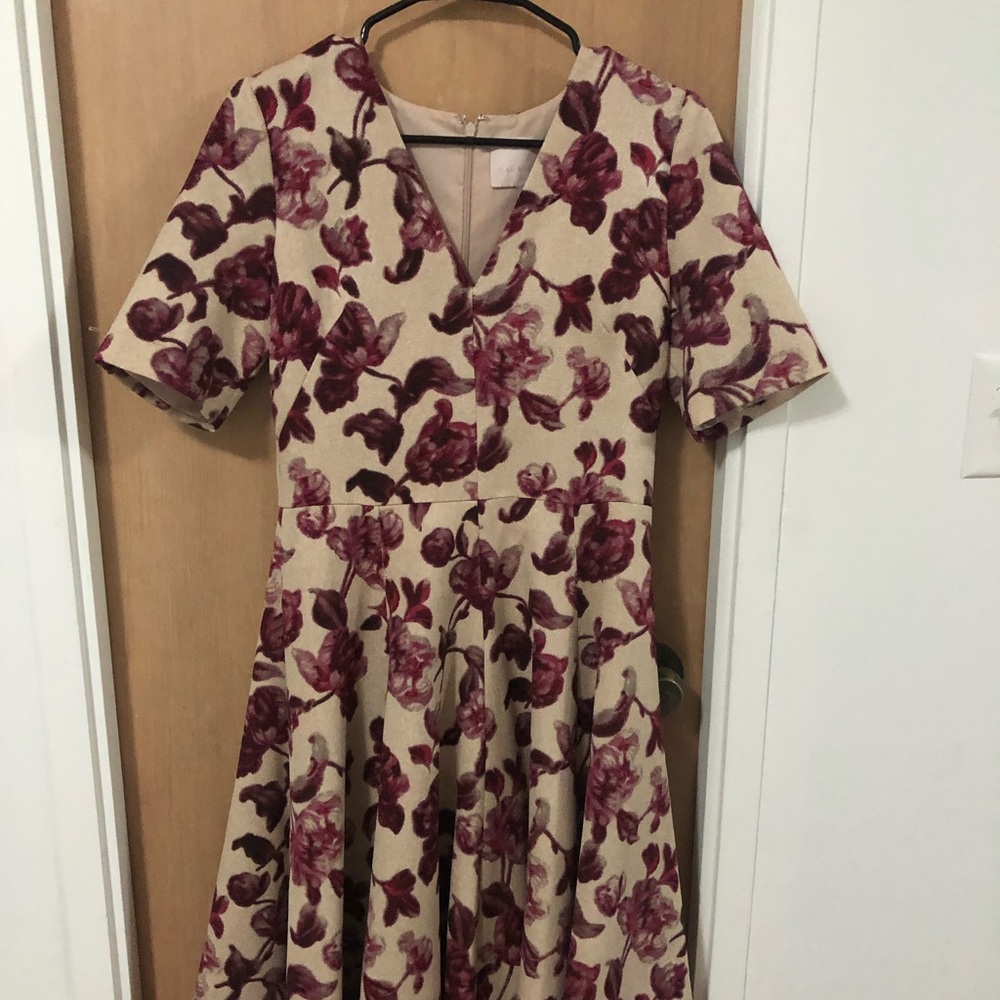 Gal Meets Glam Edith Floral Print A-Line Dress